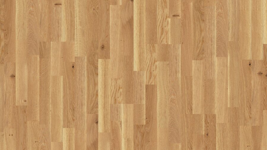 WB 2245 - Oak Lively Colourful