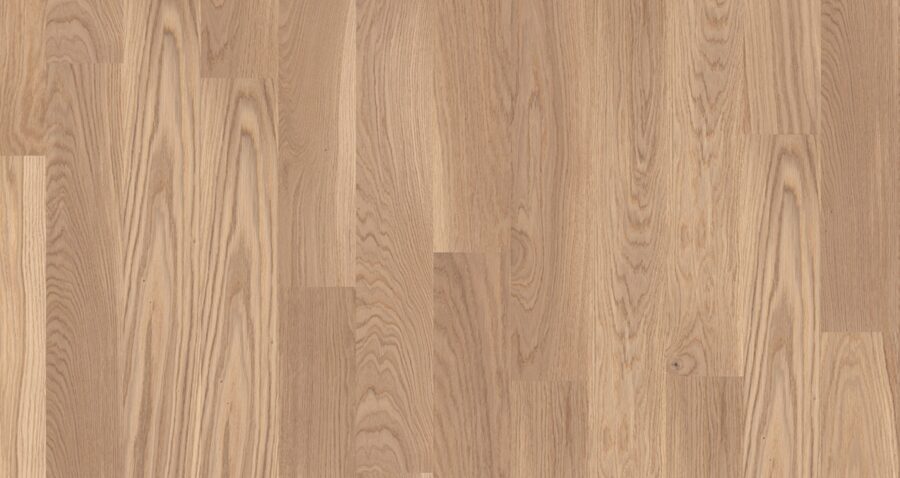 WP 1000 - Ozols Lively Colourful