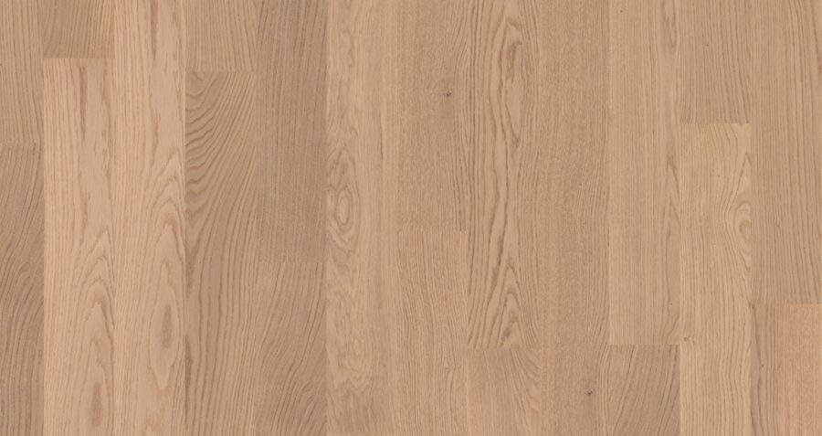 WP 1000 - Ozols Calm