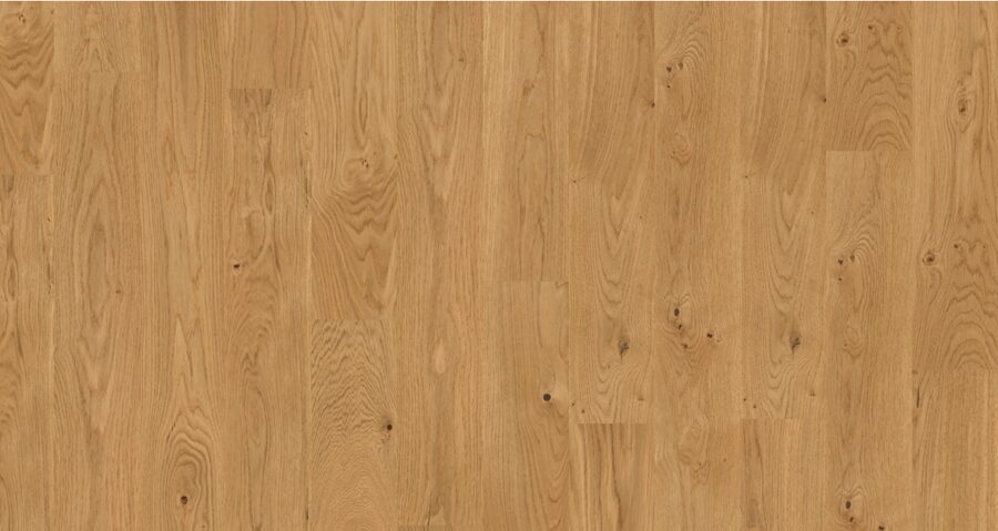 WP 1000 - Ozols Lively